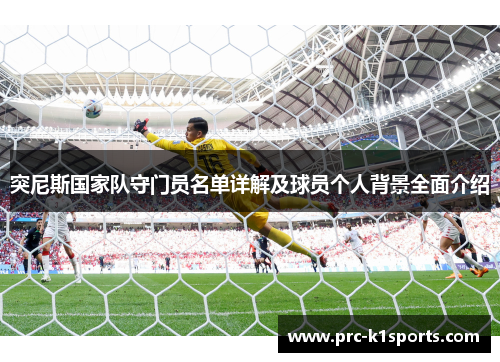 突尼斯国家队守门员名单详解及球员个人背景全面介绍