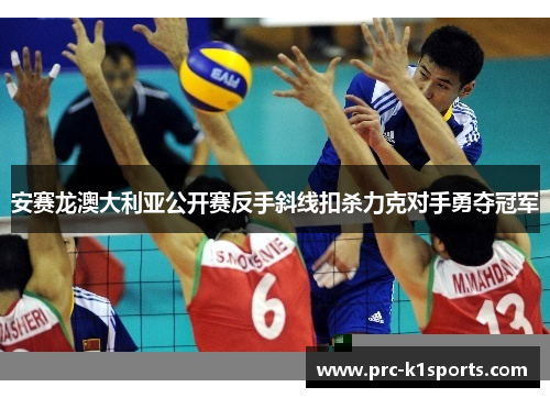 安赛龙澳大利亚公开赛反手斜线扣杀力克对手勇夺冠军
