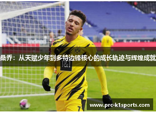 桑乔：从天赋少年到多特边锋核心的成长轨迹与辉煌成就