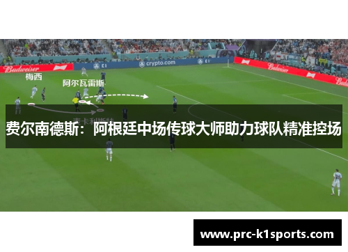 费尔南德斯：阿根廷中场传球大师助力球队精准控场