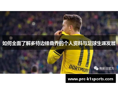 如何全面了解多特边锋桑乔的个人资料与足球生涯发展