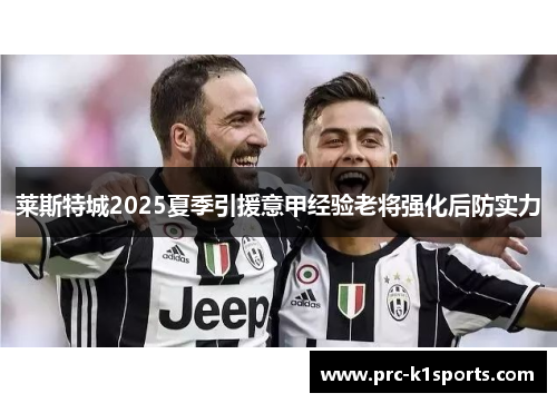 莱斯特城2025夏季引援意甲经验老将强化后防实力